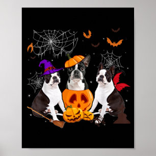 Poster Bruxa da Abóbora Engraçada Boston Terrier Cachorro