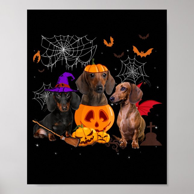 Poster Bruxa de Abóbora Engraçada Dachshund Combinando Ca (Frente)