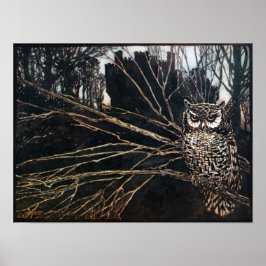 Pôster Bruxa em Coruja