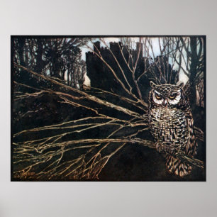 Pôster Bruxa em Coruja