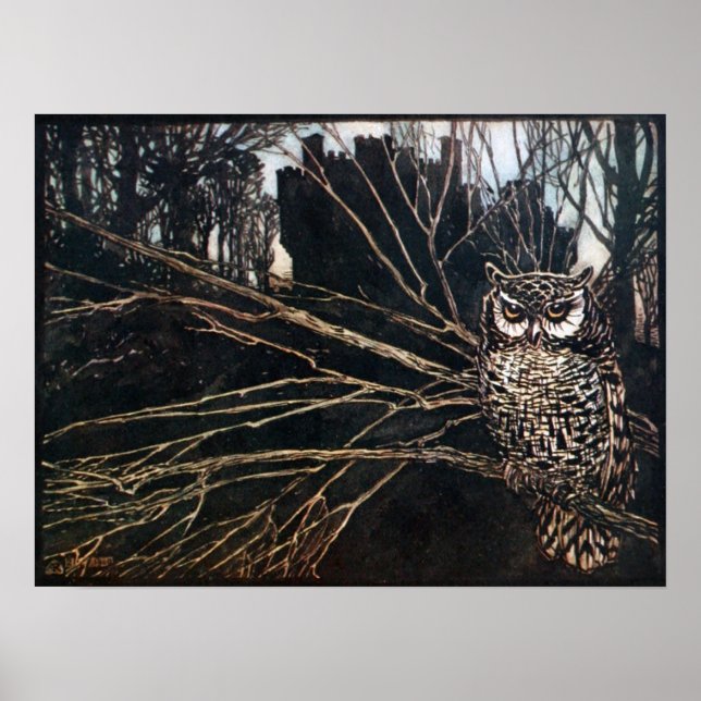 Pôster Bruxa em Coruja (Frente)