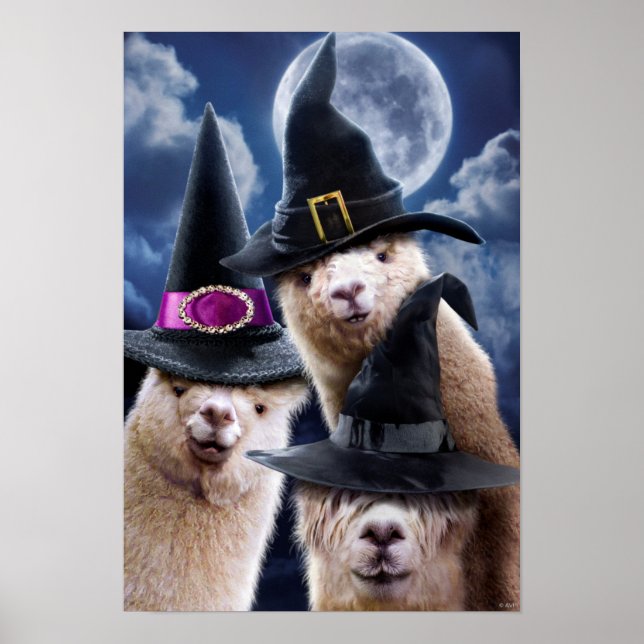 Poster Bruxas Alpaca (Frente)