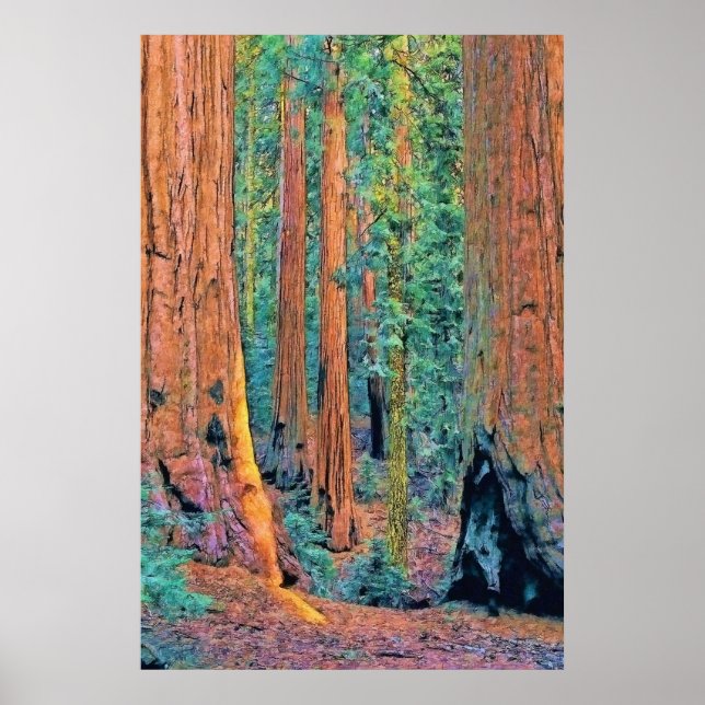 Pôster bruxas faa24 (Frente)