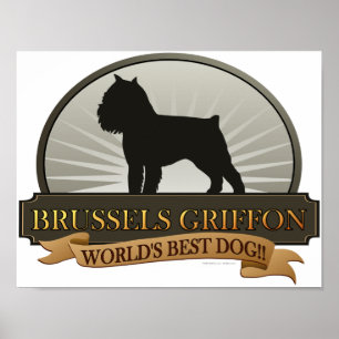 Pôster Bruxelas Griffon