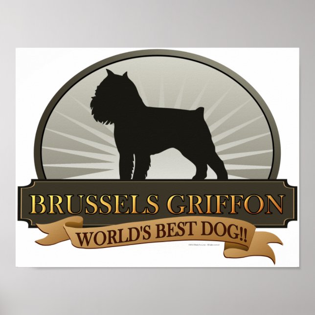 Pôster Bruxelas Griffon (Frente)