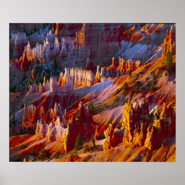 Poster Bryce Canyon, Utah, EUA 2 (Frente)