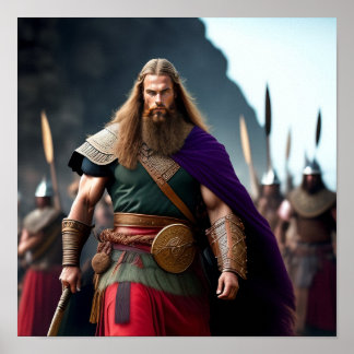 Poster Brynjar, o Viking