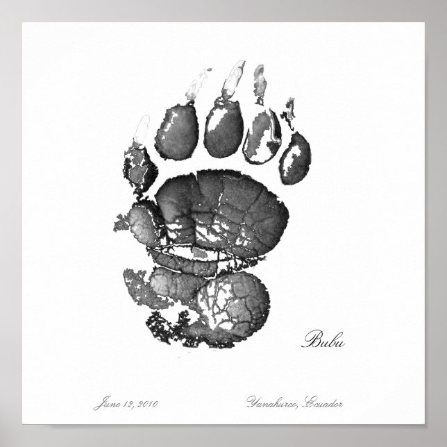 Poster Bubu Pawprint (Frente)