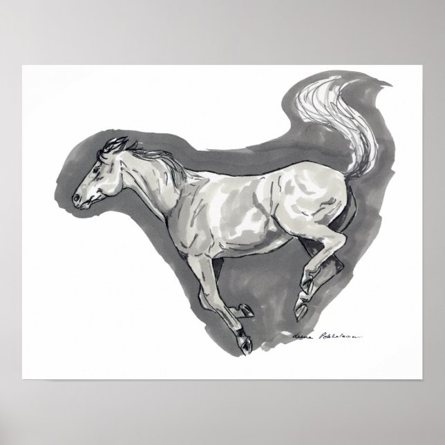 Pôster Buck (Frente)