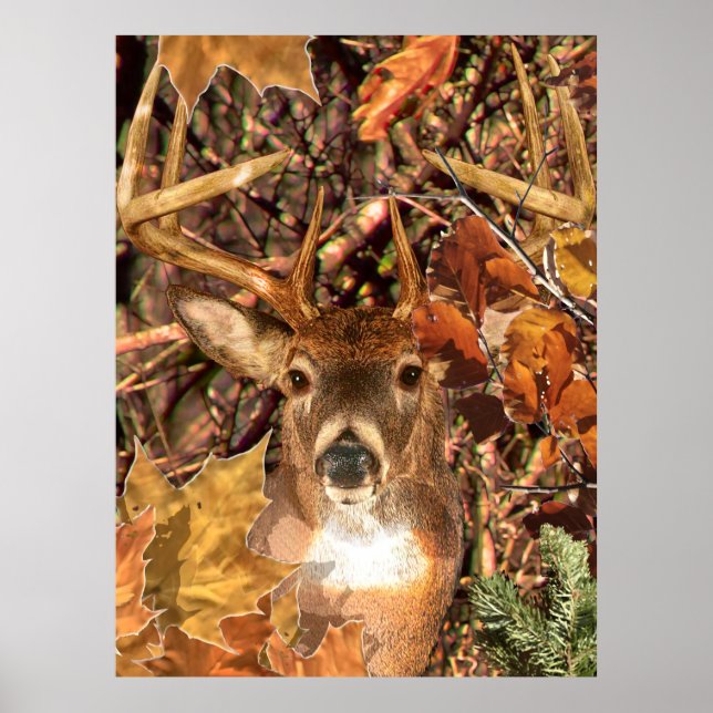 Pôster Buck in Fall Camo White Tail Deer (Frente)