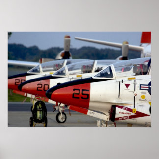 Pôster Buckeyes T-2