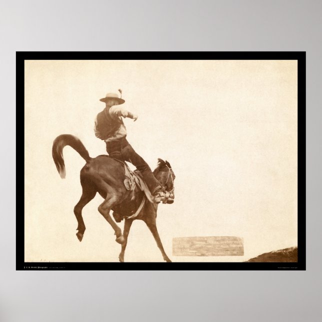 Poster Bucking Bronco SD 1888 (Frente)