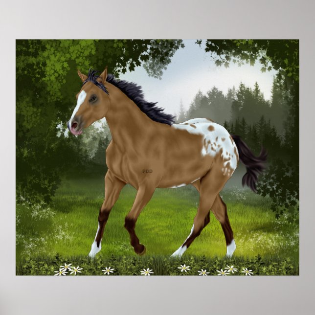 Pôster Buckskin Appaloosa Horse (Frente)