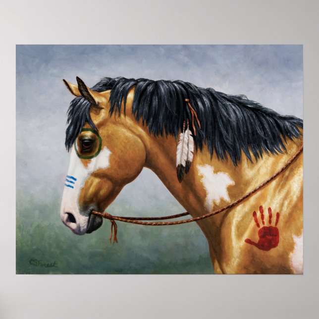 Poster Buckskin Pinto Native American War Horse (Frente)