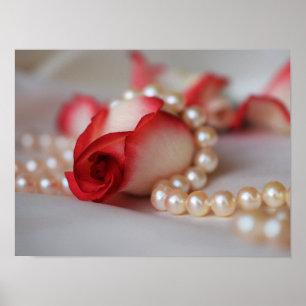 Poster Bud e Pérolas rosas vermelhas