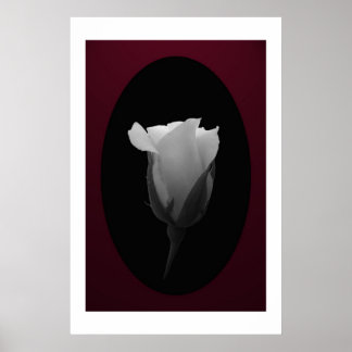 Poster Bud rosa (preto e branco)
