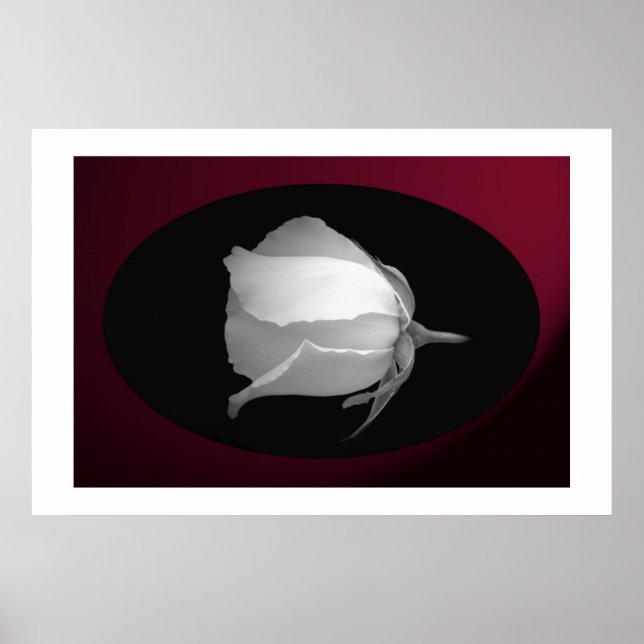 Pôster Bud rosa (preto e branco) (Frente)