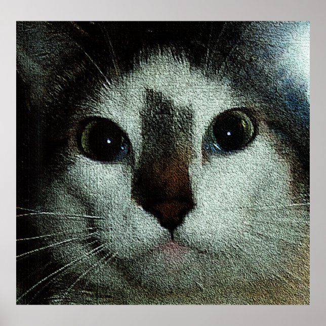 Poster Bud Sério (Frente)