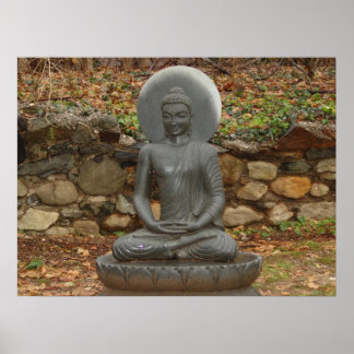 Pôster Buda na chuva