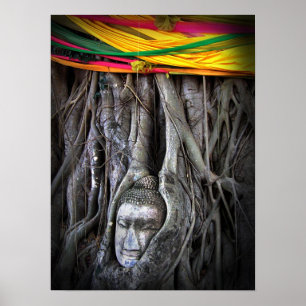 Poster Buddha e a fotografia de Tailândia do budismo da