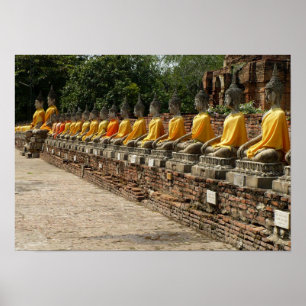 Pôster Buddhas