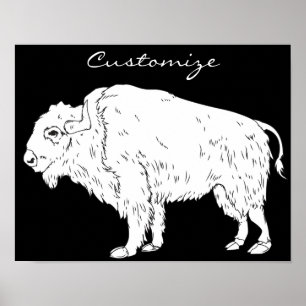 Poster Búfalo Branco Thunder_Cove