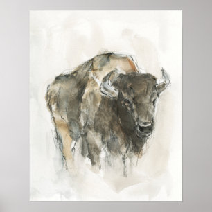 Poster Buffalo Americano I