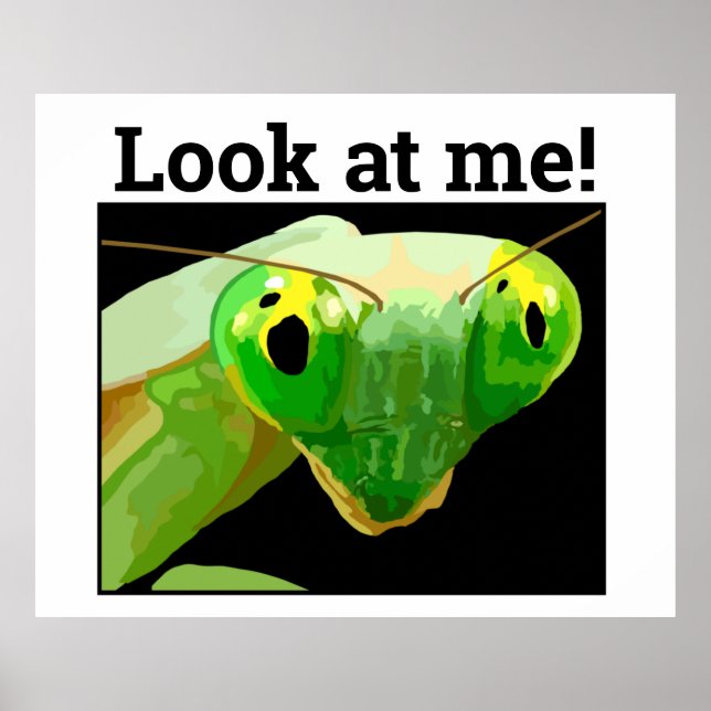 POSTER BUG 3 (Frente)