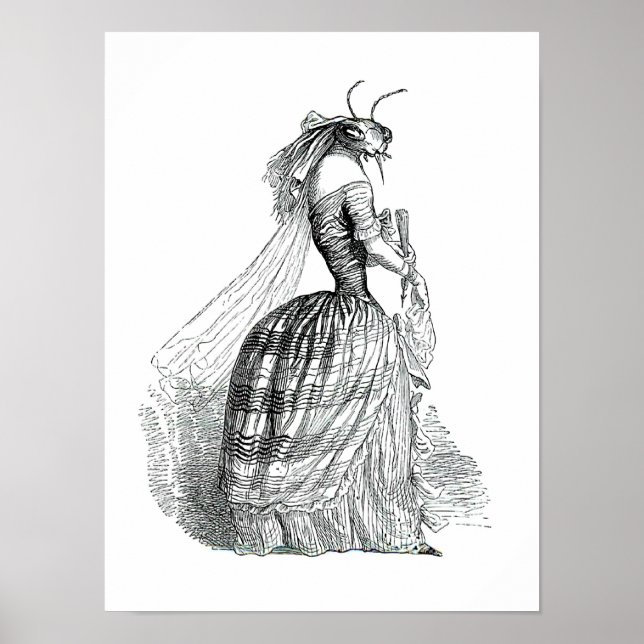 Pôster Bug Bustle (Frente)