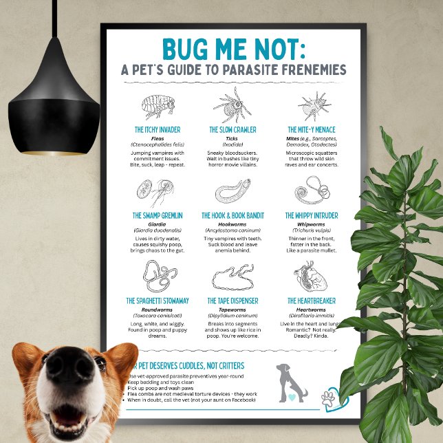 Poster Bug Me Not - A Pet’s Guide to Parasite Frenemies (Criador carregado)