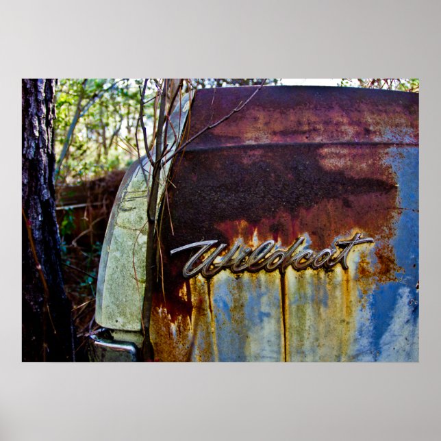 Poster Buick Wildcat (Frente)