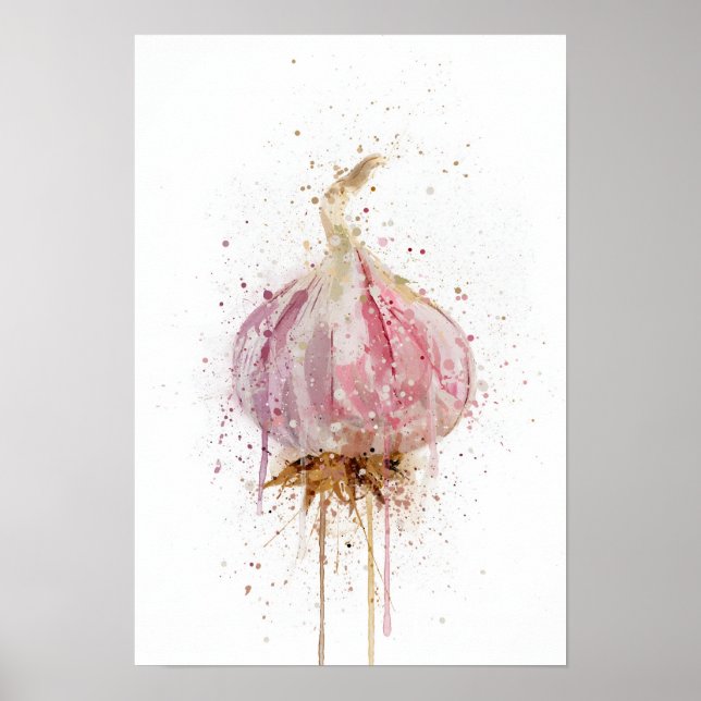 Poster Bulbo de Alho Vegetal (Frente)