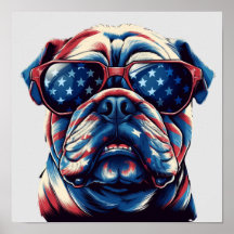 Buldogue Americano Patriótico