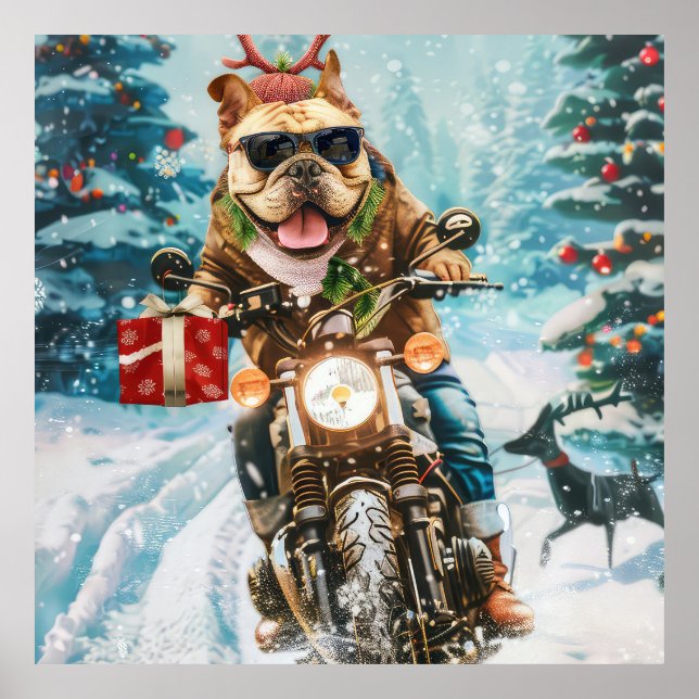 Poster Buldogue Andando motocicleta Natal (Frente)