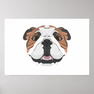 Poster Buldogue do inglês da ilustração