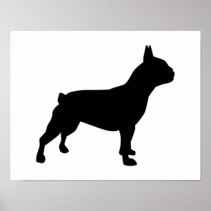 Pôster Buldogue francês
