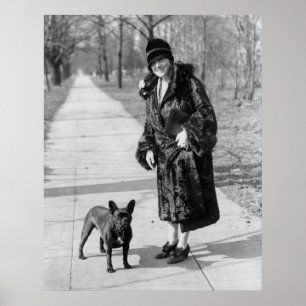 Poster Buldogue francês, 1920