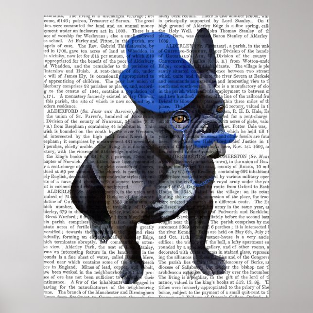 Poster Buldogue francês com chapéu azul e bigode (Frente)