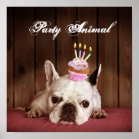 Buldogue Francês com Cupcake de Aniversário