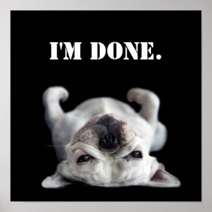 Pôster Buldogue Francês Descansando Nas Costas