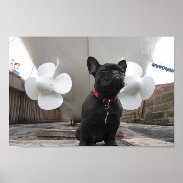 Pôster Buldogue Francês Negro (Frente)