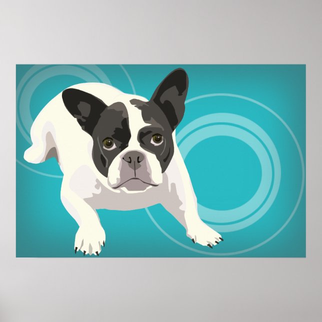Poster Buldogue francês preto e branco em fundo azul (Frente)