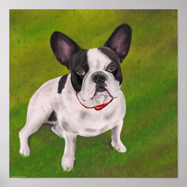 Pôster Buldogue francês preto-e-branco na grama - Pintura (Frente)