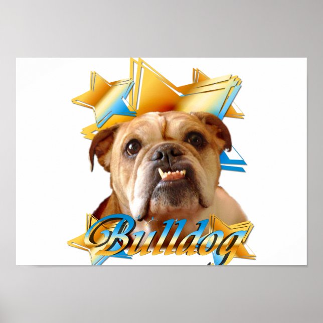 Poster Buldogue inglês (Frente)