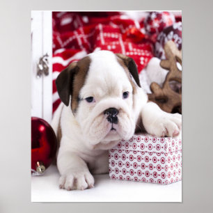 Poster Buldogue Inglês Bonito Feliz Natal