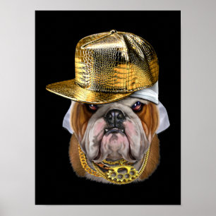 Poster Buldogue Inglês Grumpy vestindo Rapper Hip Hop