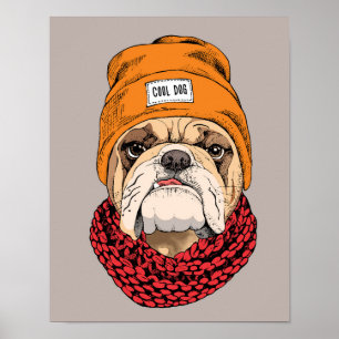 Poster Buldogue legal