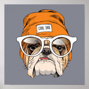 Poster Buldogue legal do hipster