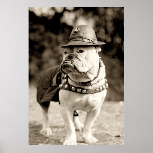 Poster Buldogue na patrulha que veste o chapéu e o cabo