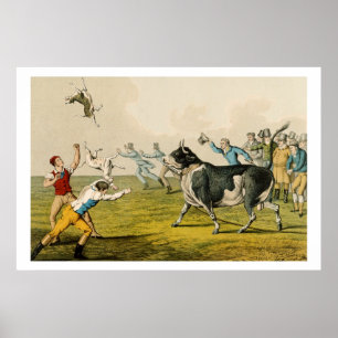 Pôster 'Bull Baiting', pub. by Thomas McLean, 1820, (prin